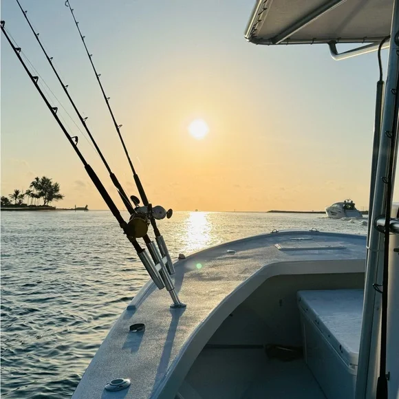 … - Picture 9 of 16